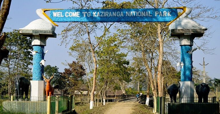Assam Travel Guide - Assam Tourism